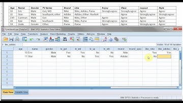 SPSS Data entry part 3