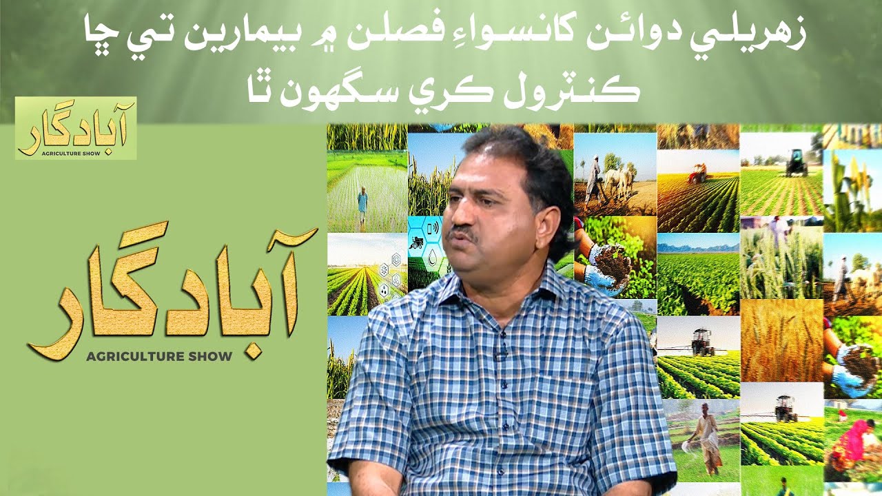 Zeherile Dawaun Kha Siwa Faslan Mein Beemarin Tay Cha Control | Abadgar (The Agriculture Show)