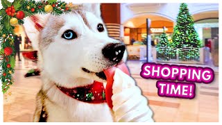 Dog Goes Christmas Shopping! (And tries ICE CREAM for the first time!)