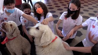 A scuola con i cani: la pet therapy in aula