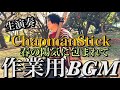 【作業用BGM】12弦楽器の生演奏、春の陽気で眠りに落ちたい人へ【睡眠・癒し・寝落ち】