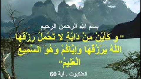الآيات السبع المنجيات اقرأها و لن تندم