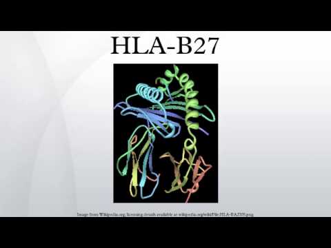 What is HLA-B27?