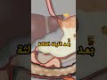 ماذا يحدث للجسم إذا لم ينم لخمسه أيام 