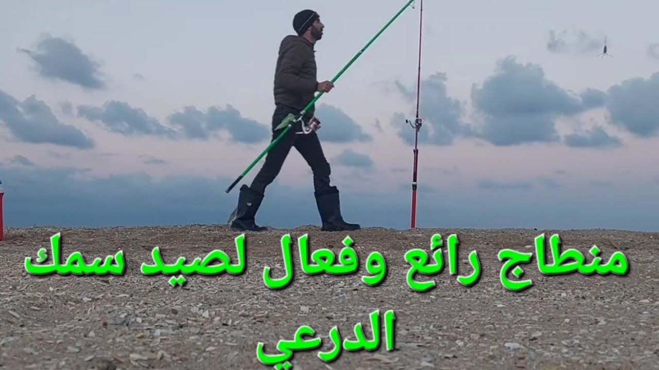 رحلة البحث عن سمك الدرعي في شاطئ المضيق (هوليداي)