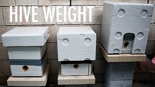 Why I Weigh Hives