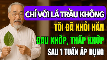 3 Cách Dùng Lá Trầu Không Giảm Đau Xương Khớp Tại Nhà Cực Kì Hiệu Quả Chỉ Sau 1 Tuần