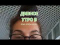 Дивное утро