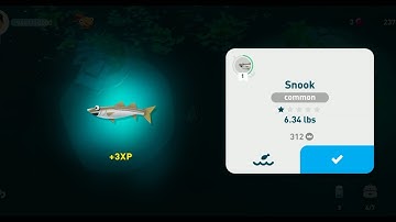 creatures of the deep - snook