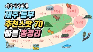 제주 동부 추천스팟 70곳 총정리 🌴 관광지 맛집 카페 숙소 책방 소품샵 - 조천 구좌 성산 표선 제주도여행 가볼만한 곳