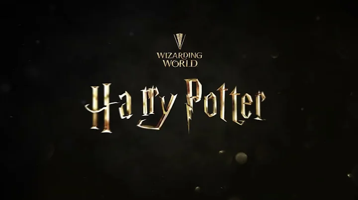 Harry Potter™ x Fossil - 天天要聞