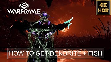 How To Get Dendrite Blastoma & Amniophysi Barbisteo Vitreospina Fish | Warframe
