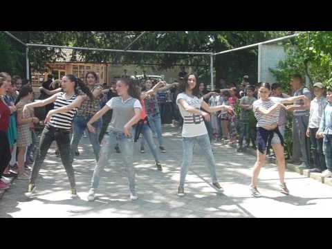 ფლეშმობი-ბაკურციხის საჯარო სკოლა-თ.ქართველიშვილი