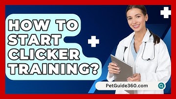 How To Start Clicker Training? - PetGuide360.com