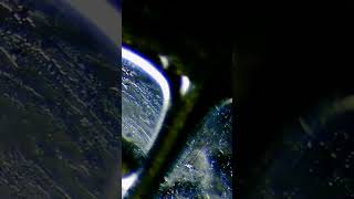 Microscope Lounge | Motion Without Urgency