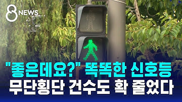 "좋은데요?" 똑똑한 신호등…무단횡단 건수도 확 줄었다 / SBS 8뉴스