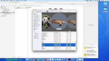 Основы iOS. Урок 11 - Добавляем 3 Uibuttons