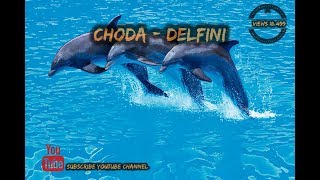 Choda - Resi retarda breee (miki100)