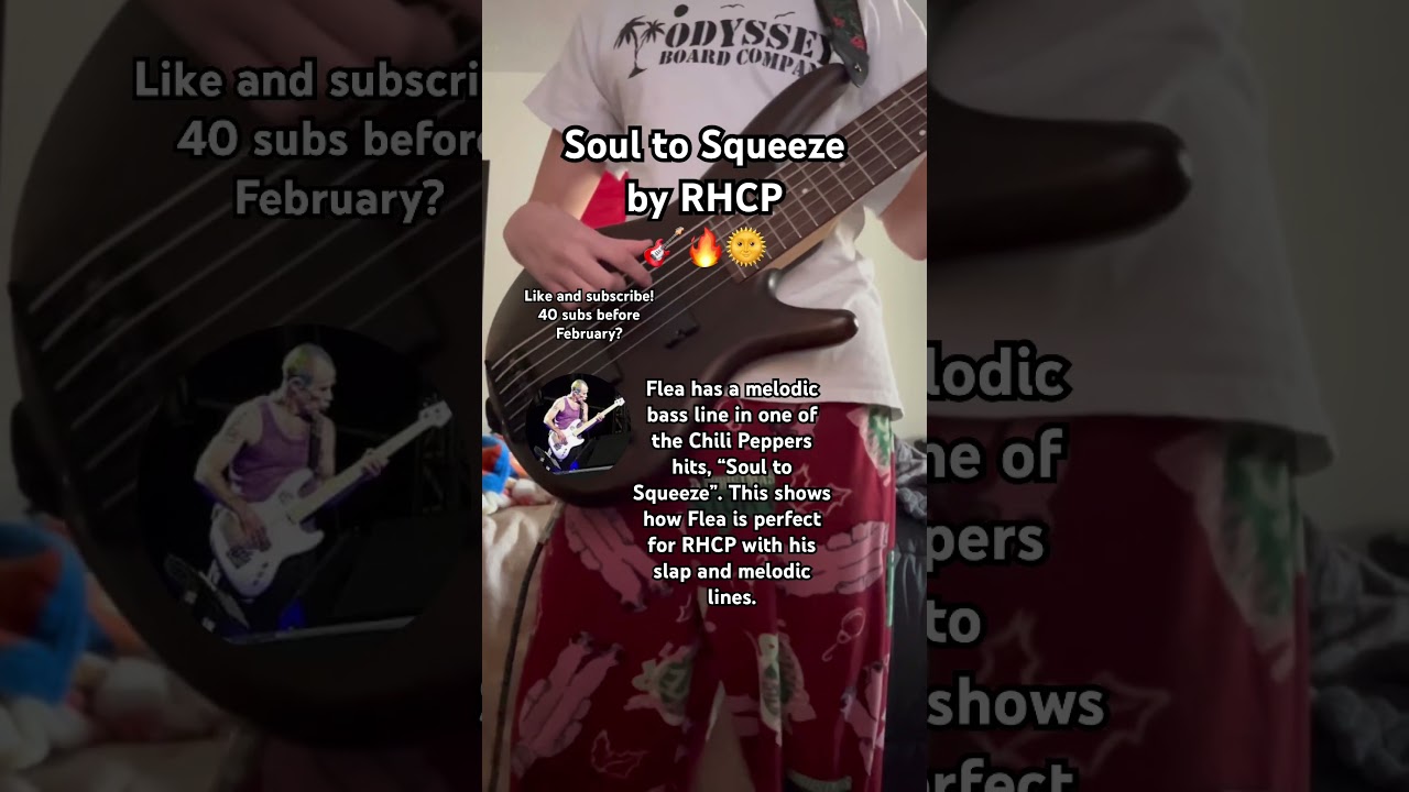 Soul to Squeeze by RHCP, Bass Cover 
