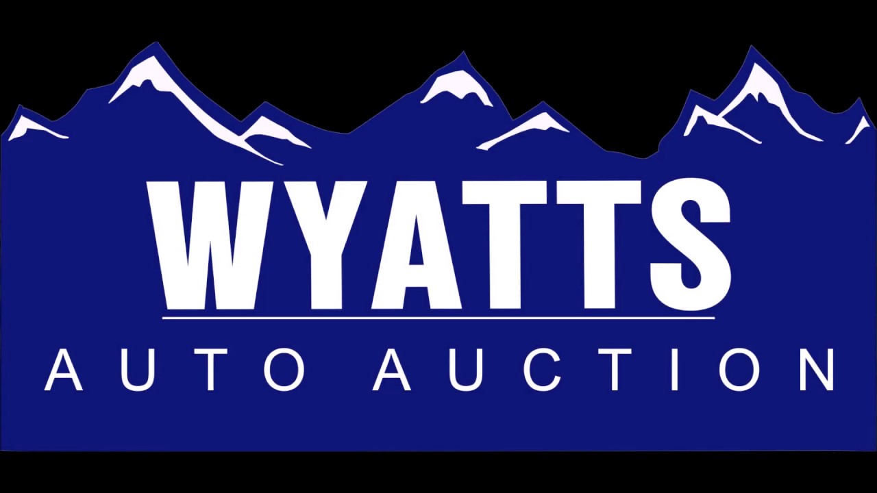 Public Auto Auctions Denver and Colorado Springs YouTube