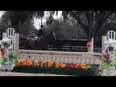 Ariana Daconceicao Ocala 3 Equitation Coupe De Chance