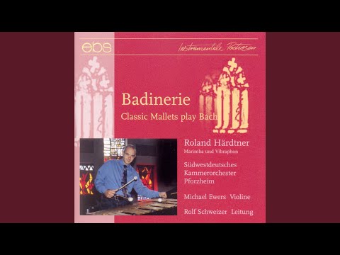 Concerto for Oboe & Violin in C Minor, BWV 1060R (Arr. for Vibraphone & String Orchestra by... bekijken op YouTube