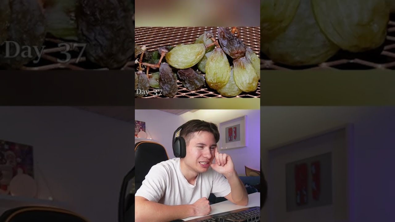Trauben zu Rosinen in 50 Tagen 🍇 - YouTube
