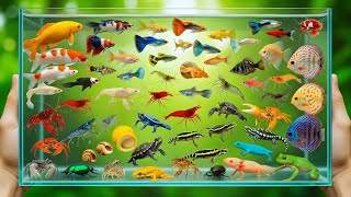 Catch and Release Adventure 🌿  Peaceful Wildlife Moments with Fish, Frogs & Turtles