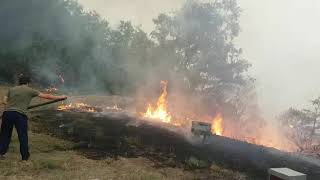 Incendio en Vilariño de Conso chegando a un colmear