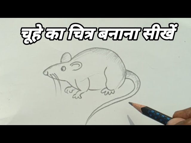 how to draw rat mouse drawing / चूहे का चित्र एवं मुहावरे सीखें / pencil  drawing easy way / - YouTube