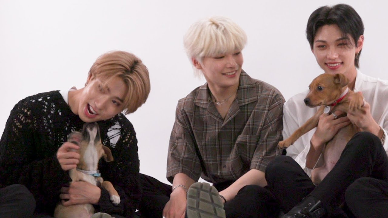 Stray Kids Play The Puppy Interview