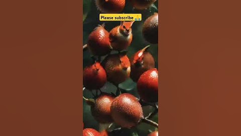 How Convert Fruits into Birds With Krea AI Tool #Strawberries turn into Red Birds With Krea AI#ai