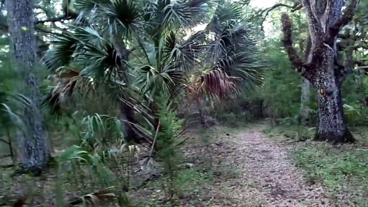 Camping and Hiking at Good Medicine Camp with the Legendary Swamp Camper