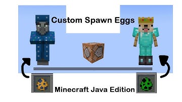 custom spawn eggs