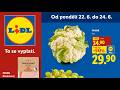 🇨🇿 LIDL Česká republika Akční leták OD PONDĚLÍ 22.06 - 24.06.2026
