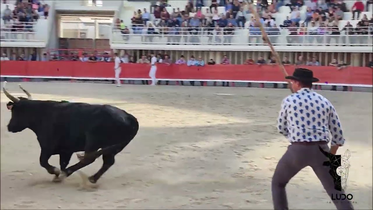 Lunel - Concours des Gardians de métiers - 29/10/22