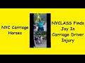 NYCLASS Finds Joy In Horse Carriage Driver Injury 