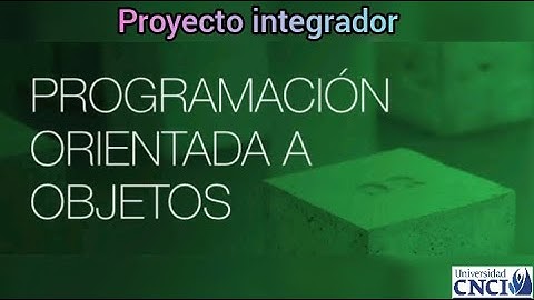 PROYECTO INTEGRADOR - PROGRAMACIÓN ORIENTADA A OBJETOS