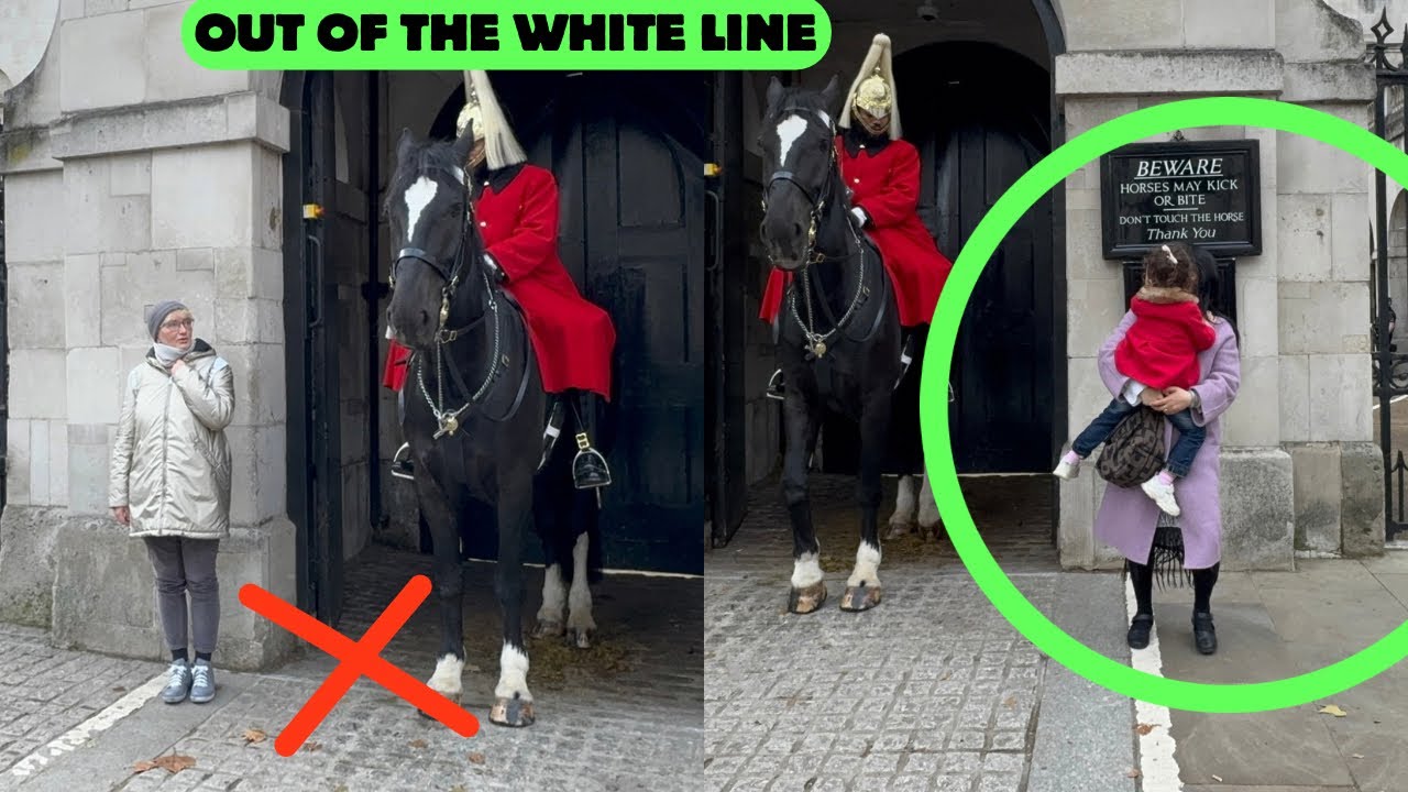 Tourists Ignored the Rules 😠 Guard Makes Them Step Back!