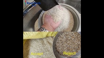 rice color sorter paddy color sorting factory