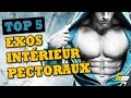 Top5 des exercices pour muscler lintrieur des pectoraux  by all musculation