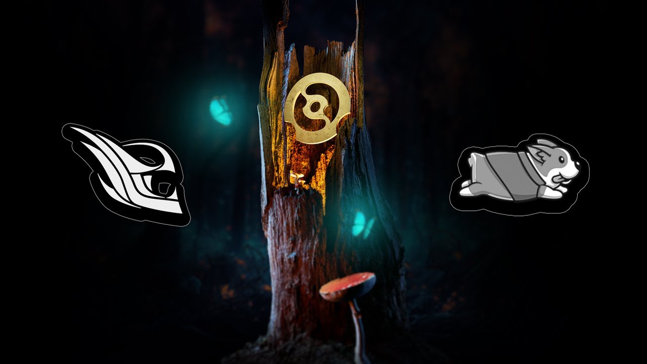 Felt vs Team DogChamp – Highlights - DPC 2023 NA Spring Tour Division I