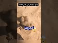 رمال تبتلع كل شيء 