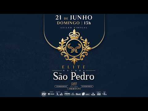 LOTE 48   ISPU 7153