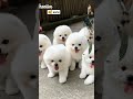 #cute #funny