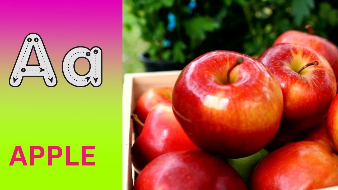 ABC Phonics Song | Alphabet letter sounds | ABC learning for toddlers | Education ABC Nursery Rhymes