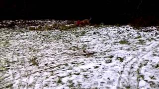 VID 20120129 00048