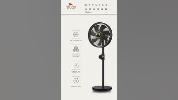 Quạt cây Stylies Uranus  #quạt #stylies