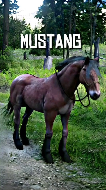 Localização 2 Cavalos Mustangue em Red Dead Redemption 2 #reddeadredem