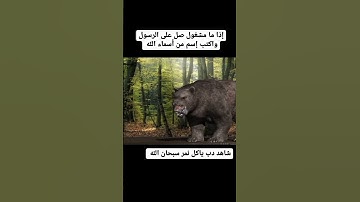#دويتو #القران #تيكتوك #تيك_توك #تلاوات #اكسبلور